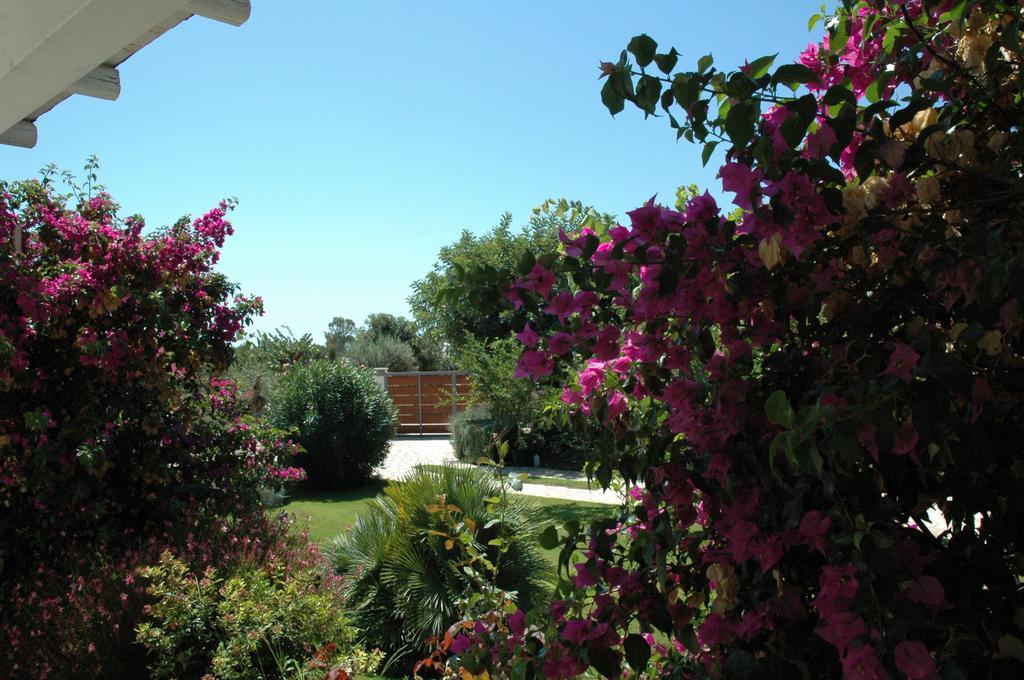 Alimede Ecodimora Apartment Santa Croce Camerina Exterior foto